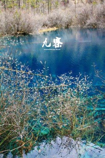 家里相亲的男朋友 我不怎么喜欢他 一直给他暗示不想他缠着我 他说我跑不掉？游戏画面