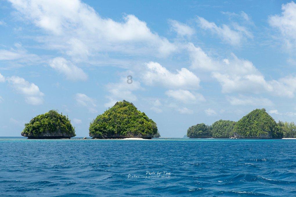 盟领导分别参加指导联系点主题教育专题民主生活会