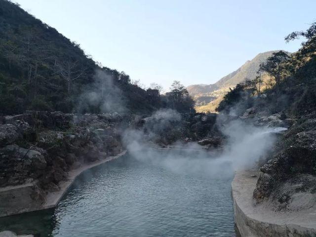 白孔雀救援