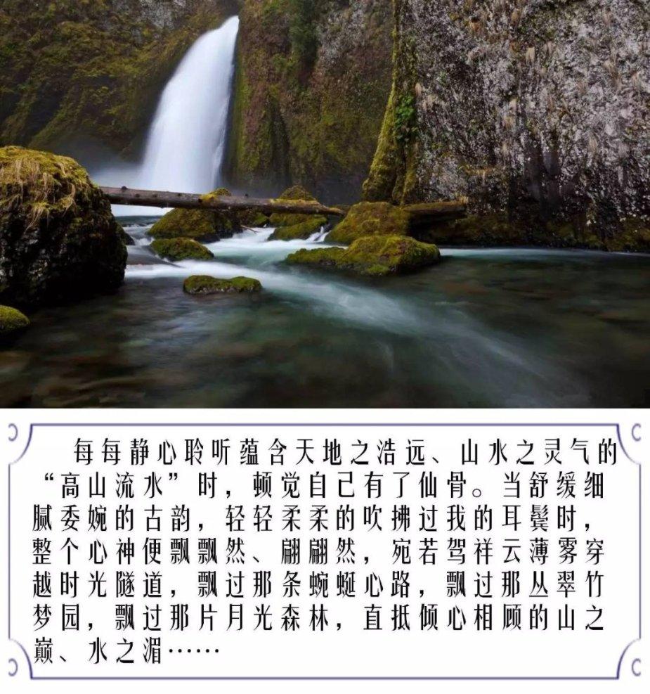 逃离天鹅森林