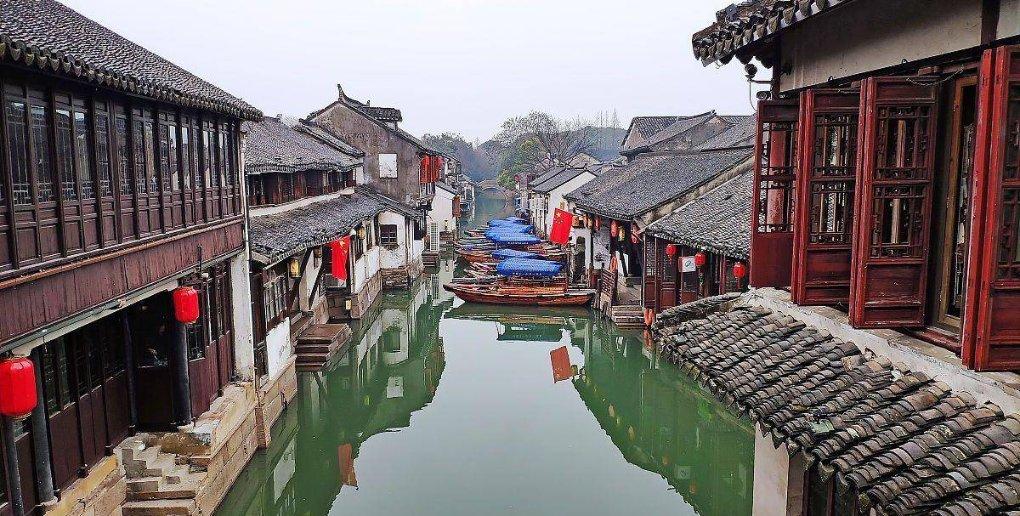 救援可爱的狮子